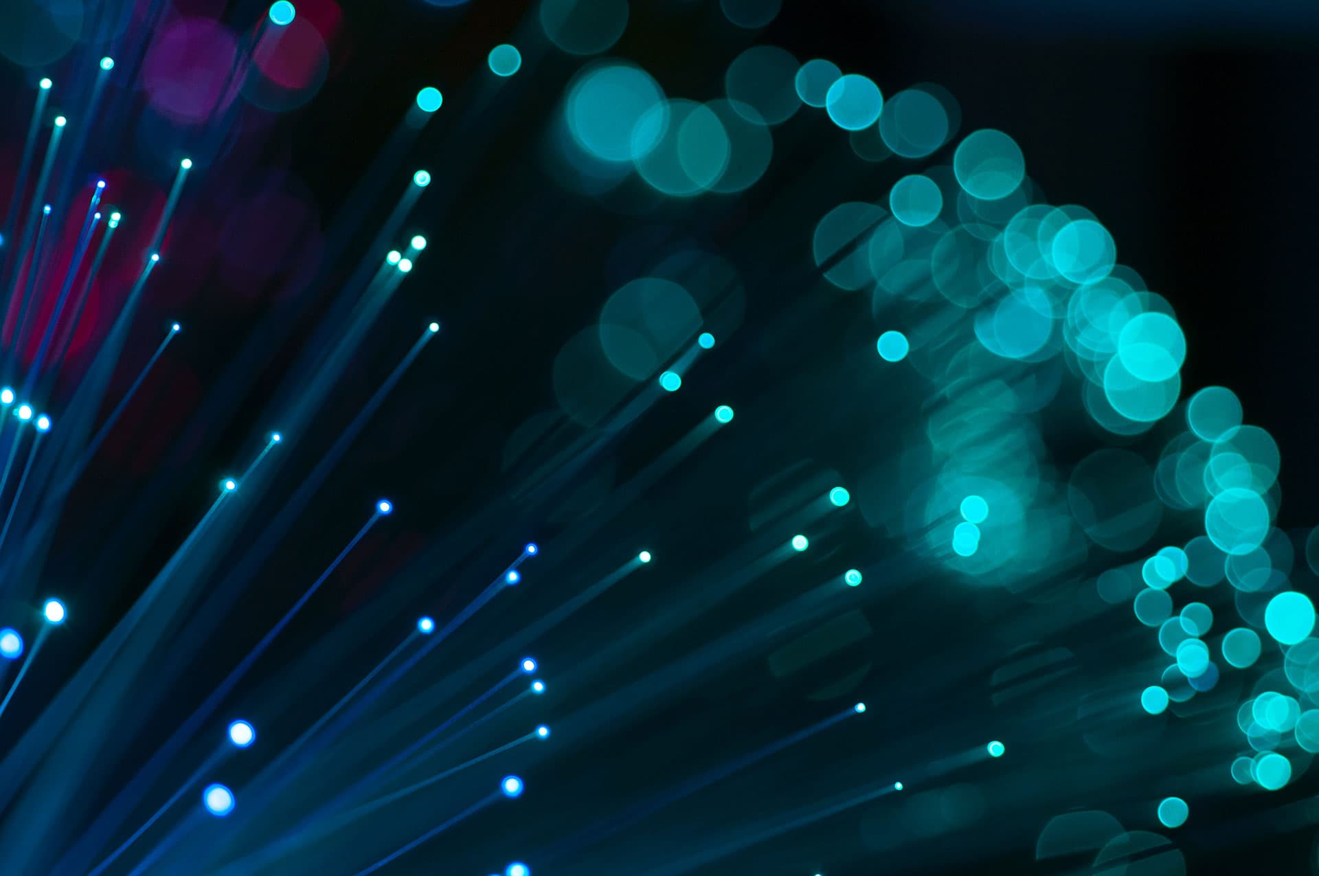 Deutschland im digitalen Plattformfieber