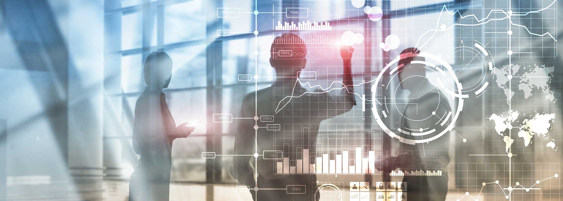 Digitalization in the Public Sector