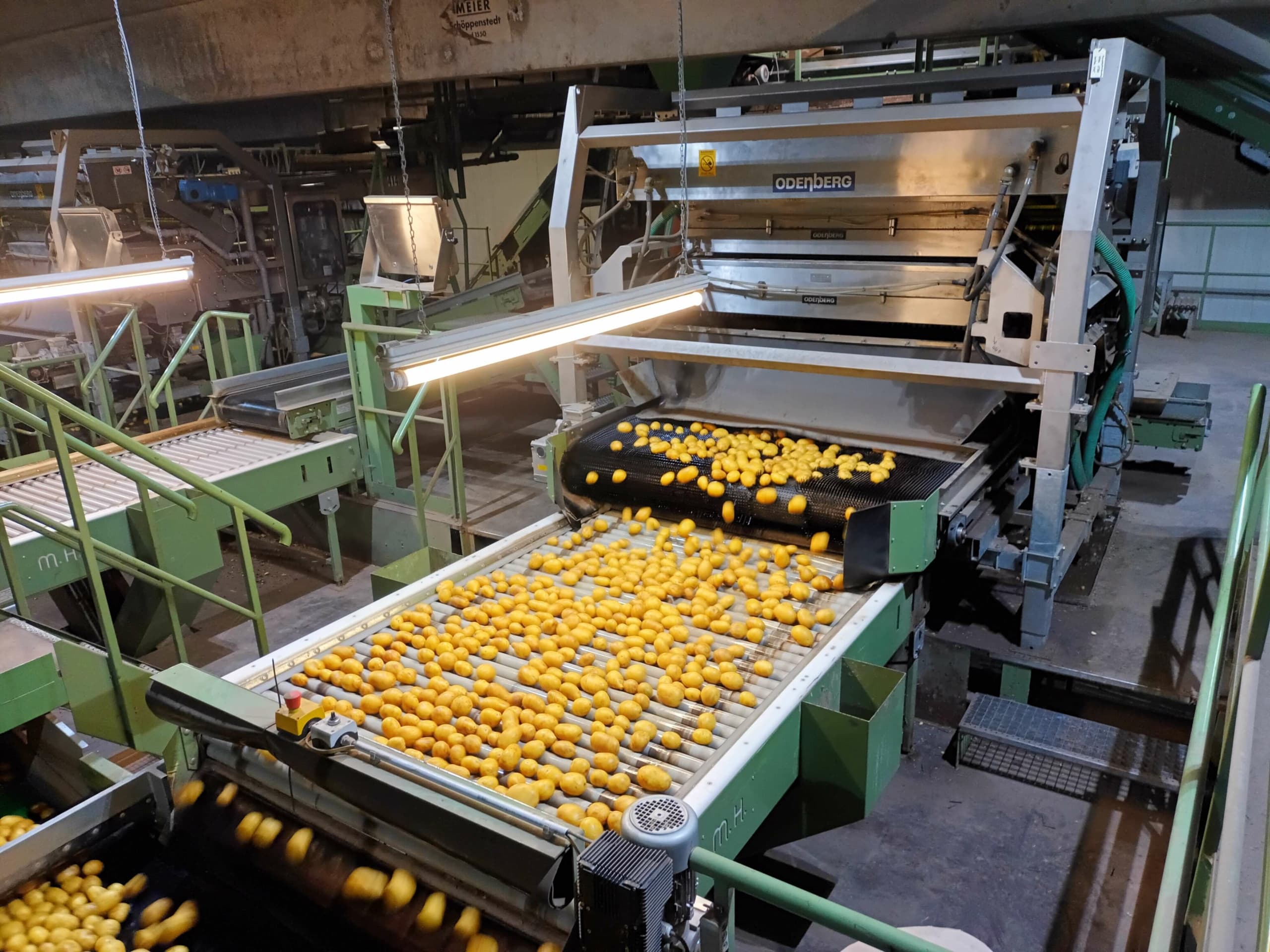 Digitalization of packing operations