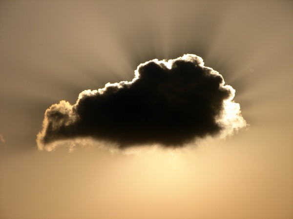 Software-as-a-Service: Warum auch Ihre Anwendung in die Cloud gehört