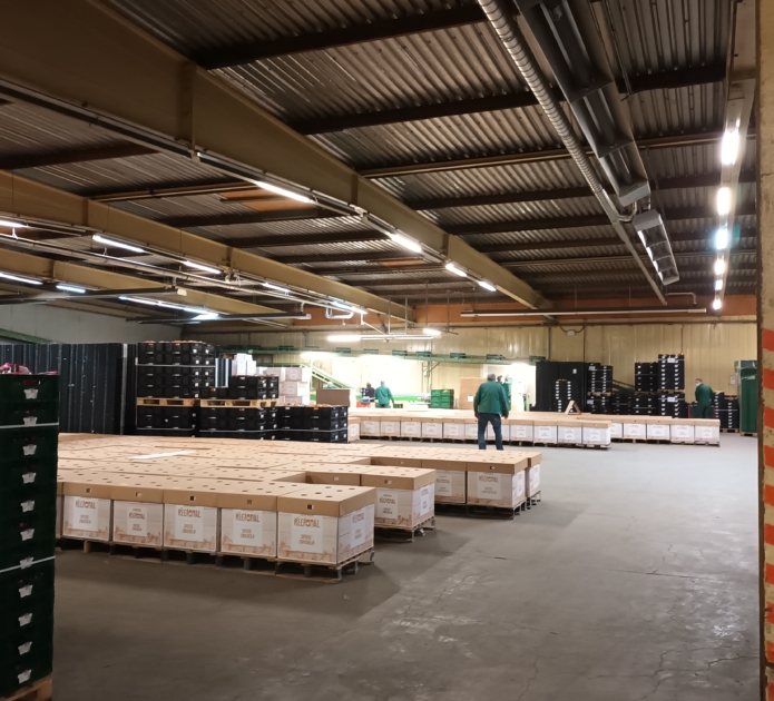 GROKA case study